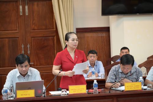 Bà Phan Thị Hiếu, Phó Giám đốc Kho bạc Nhà nước khu vực VI phát biểu tại cuộc họp