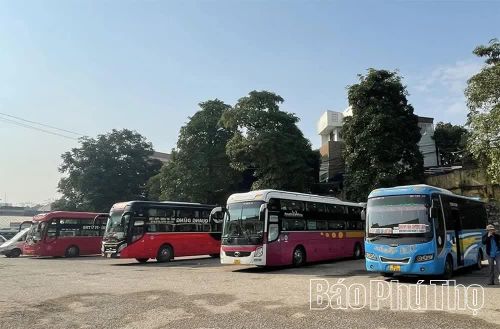 Các phương tiện vận chuyển hành khách tập kết tại Bến xe khách Việt Trì.