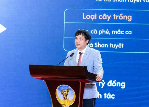 Ông Nguyễn Văn Khoa chia sẻ về phát triển kinh tế không gian tầm thấp tại tỉnh Điện Biên. Ảnh: FPT
