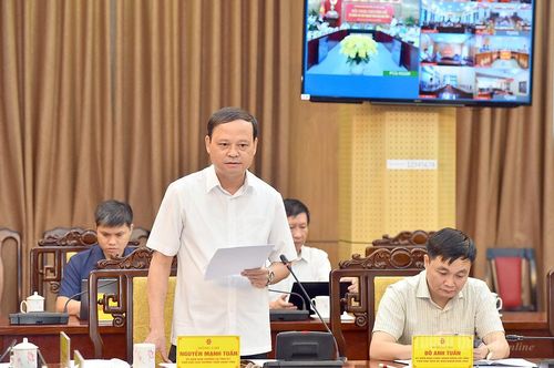 Đồng chí Phó Chủ tịch Thường trực UBND tỉnh Nguyễn Mạnh Tuấn phát biểu tại hội nghị.