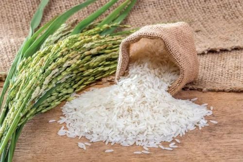 Giá gạo nguyên liệu xuất khẩu trong nước hôm nay tăng. Ảnh minh họa