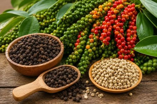 Giá tiêu hôm nay giảm 500 đồng/kg tại nhiều địa phương. Ảnh minh họa