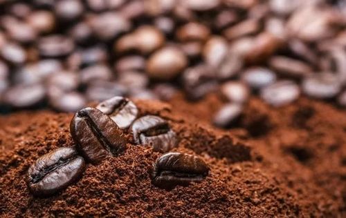Giá cà phê trong nước hôm nay điều chỉnh giảm. Ảnh minh họa