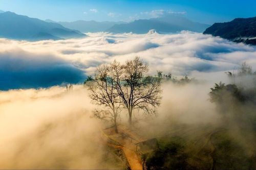 Choản Thèn "bồng bềnh" giữa mây núi