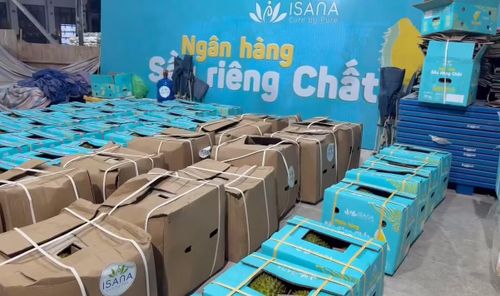Những hình ảnh "mỹ miều" được Công ty ISANA đưa lên mạng để lừa phỉnh người dân bán sầu riêng.