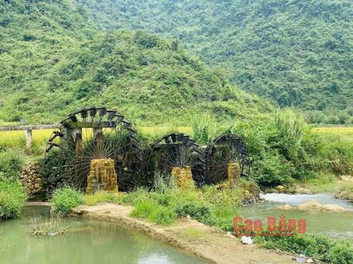 Những chiếc cọn vẫn ngày đêm tận dụng sức nước đưa nước về ruộng, vừa phục vụ sản xuất, vừa lưu giữ tri thức dân gian và nét văn hóa đặc trưng của cư dân miền di sản CVĐC toàn cầu UNESCO Non nước Cao Bằng.