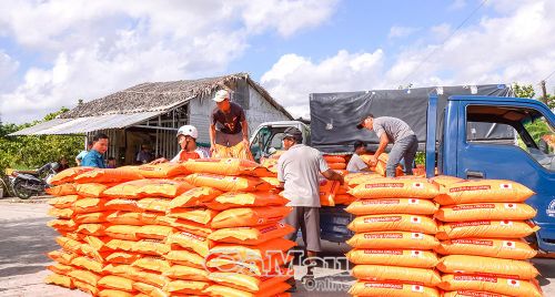 Xe chở vật tư tập kết đến tận địa điểm thực hiện mô hình cho bà con.