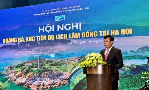 Phó Chủ tịch UBND tỉnh Lâm Đồng Đinh Văn Tuấn phát biểu tại hội nghị.