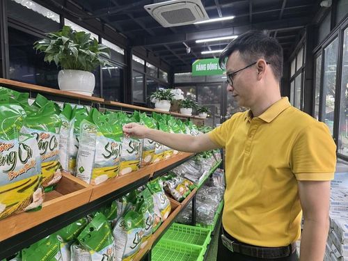 Liên kết sản xuất không chỉ góp phần bảo tồn và phát triển được giống lúa đặc sản của địa phương mà còn giúp bà con thay đổi tư duy sản xuất, nâng cao năng suất cây trồng.