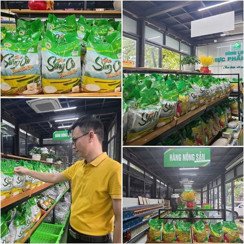 Sản phẩm được trưng bày, giới thiệu tại cửa hàng, góp phần quảng bá đặc sản Lai Châu đến với người tiêu dùng.