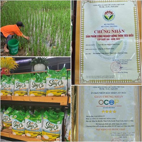 Hiện nay, xã Than Uyên đã trở thành địa phương trọng điểm về phát triển nông sản của tỉnh với tổng cộng 27 sản phẩm OCOP, bao gồm 3 sản phẩm đạt 4 sao và 24 sản phẩm đạt 3 sao.