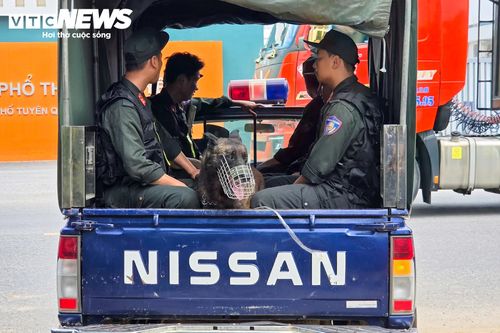 Lực lượng chức năng huy động chó nghiệp vụ để đảm bảo an toàn cho kỳ thi.