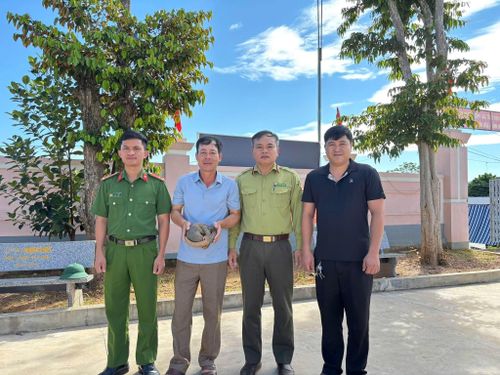 Lực lượng chức năng tiếp nhận cá thể tê tê Java nặng khoảng 2,2 kg do người dân xã Châu Bình tự nguyện giao nộp. (Ảnh: CSCC)