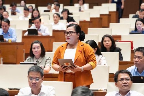 Đại biểu Nguyễn Thị Sửu - Đoàn ĐBQH TP Huế. Ảnh: Media Quốc hội