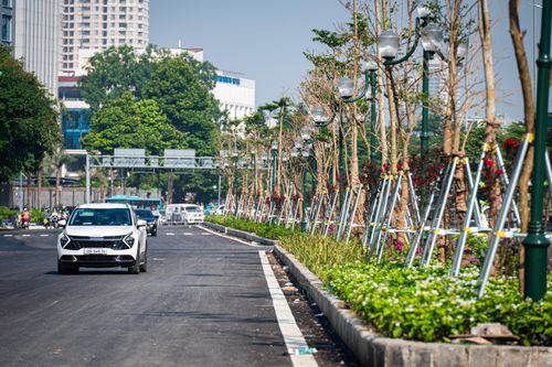 Đoạn từ đền Voi Phục đến dốc Bệnh viện Phụ sản Hà Nội, dải phân cách dần được phủ xanh bởi những loại cây như lài tây, tường vi, mẫu đơn..., các công nhân thay phiên trồng và chăm sóc tỉ mỉ.