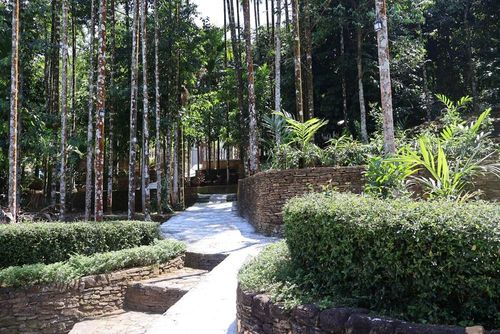 Ngõ đá ở làng cổ Lộc Yên với những hàng chè tàu xanh mát là một trong những nét đẹp riêng có của vùng đất này