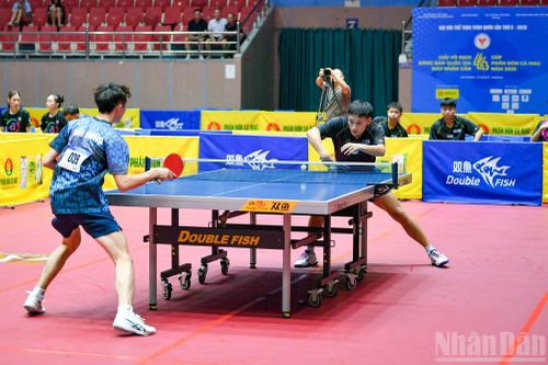 Nguyễn Anh Tú (Hà Nội) đối đầu Nguyễn Duy Phong (Hải Phòng) ở trận thứ hai.