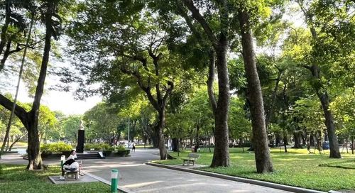 Công viên Thống Nhất có nhiều tiềm năng phát triển không gian sáng tạo. (Ảnh: Ngọc Liên
