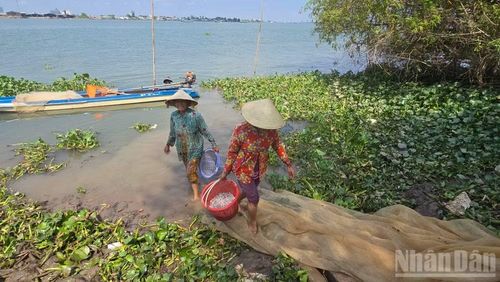 Đánh bắt cá trên sông Vàm Nao. (Ảnh: THANH DŨNG)