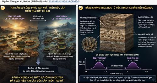 Khoảng cách giữa 2 lần khởi phát sự sống theo nghiên cứu là khoảng 300 triệu năm.