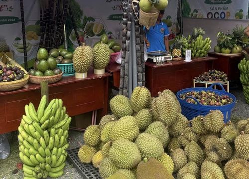 Khánh Sơn là vựa trái cây đặc sản của tỉnh Khánh Hòa.