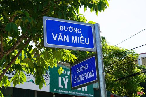 Cụ thể, đường Văn Miếu có điểm đầu giao đường Lê Hồng Phong, điểm cuối giao ngõ 549 đường Trần Phú, dài 0,936 km.