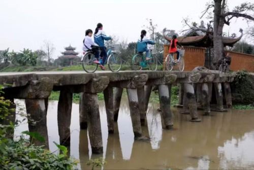 Cây cầu đá 9 nhịp đầu rồng soi bóng xuống dòng Nguyệt Đức tại làng Nôm. (Ảnh: Vietnam+)