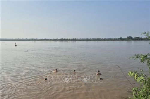 Vào khoảng 17h30 hàng ngày có khá đông người dân, nhất là thanh thiếu niên, xuống tắm tại bãi tắm tự phát bên bờ sông Hồng, đoạn qua phường Phú Thượng. Ảnh: Nguyễn Thắng/TTXVN