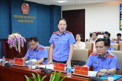 Kiểm sát viên Viện Kiểm sát nhân dân Tối cao Hoàng Thị Quỳnh Chi nhấn mạnh về "tiêu chuẩn kép" trong dự án Bộ luật Tố tụng hình sự (sửa đổi).