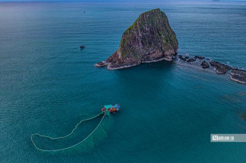Mỗi mùa cá cơm về, khắp vùng biển ở Hòn yến tấp nập tàu bè từ lúc sáng sớm tinh mơ đến tối muộn. Thông thường, tàu sẽ thả lưới vào chiều hôm trước, xuyên đêm và sẽ trở về bờ vào sáng hôm sau. 