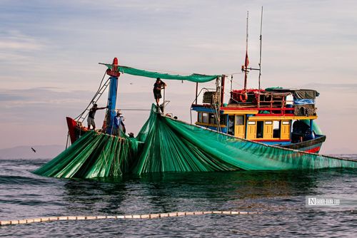 Không chỉ ở Hòn Yến mới có loại hình bắt cá đặc biệt bằng lưới vây mà từ khắp ngư trường từ Bắc vào Nam như Bình Định, Khánh Hoà, Ninh Thuận, ngư dân cũng đánh bắt bằng loại hình tương tự. 