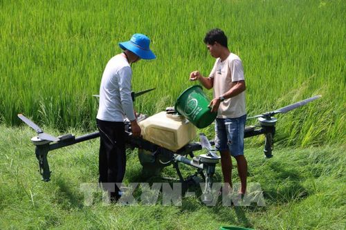 Cần Thơ không định hướng phát triển nông nghiệp theo chiều rộng mà theo hướng ít đất hơn nhưng giá trị cao hơn. Ảnh: Duy Khương – TTXVN