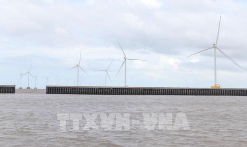 Nhà máy điện gió khu vực biển Đông ở tỉnh Cà Mau. Ảnh: Tuấn Phi - TTXVN