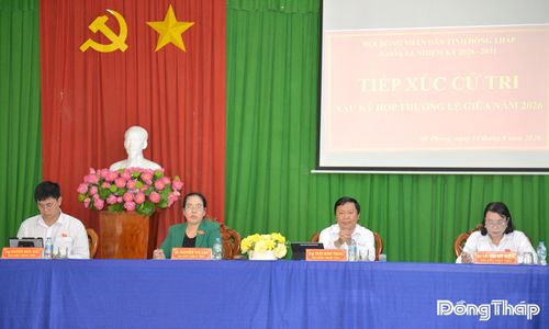 Tổ Đại biểu HĐND tỉnh lắng nghe ý kiến, kiến nghị của cử tri phường Mỹ Phong.
