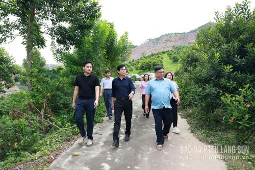 Đoàn công tác kiểm tra thực tế khu trồng mắc ca của Công ty Cổ phần Đầu tư và Phát triển nông lâm nghiệp Lạng Sơn (xã Hữu Lũng)