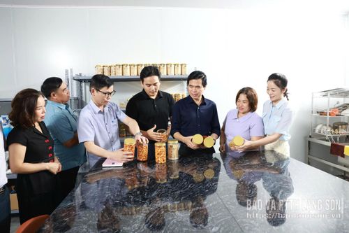 Đồng chí Hoàng Quốc Khánh, Ủy viên Trung ương Đảng, Bí thư Tỉnh ủy cùng đoàn công tác kiểm tra thực tế mô hình chế biến mắc ca tại xã Hữu Lũng