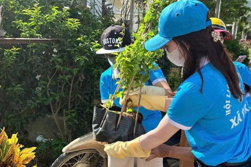 Phụ nữ D’ran trồng cây đường phố