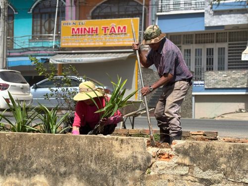 Bà con thôn Đường Mới trồng hoa tại các tiểu cảnh ngay sau cơn lũ rút