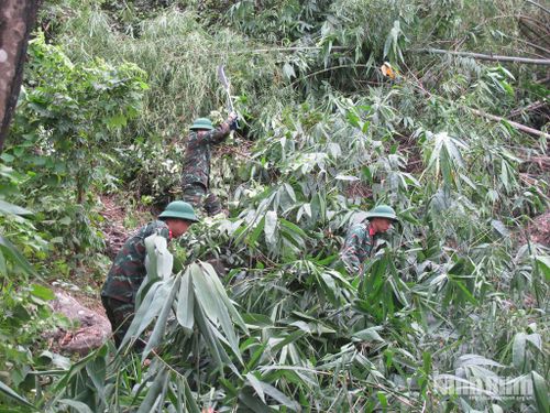 Lực lượng quân sự phường phát đường băng cản lửa.
