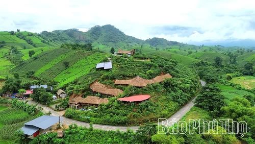 Homestay Long Cốc Ecolodge tại xã Long Cốc là mô hình tiêu biểu thu hút đông khách lưu trú thời gian qua.