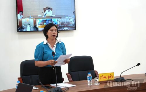 Công dân tham gia phiên tiếp dân của đồng chí Lê Hồng Vinh, Phó Bí thư Tỉnh ủy, Chủ tịch UBND tỉnh - Ảnh: T.Đ