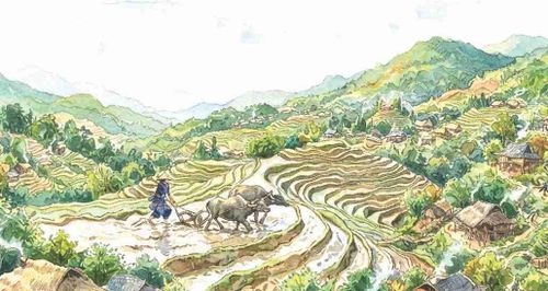 Thương nhớ tiếng Tày