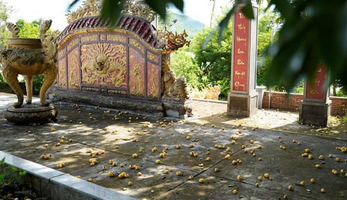 Dưới sân của một đền thờ ven sông Hương