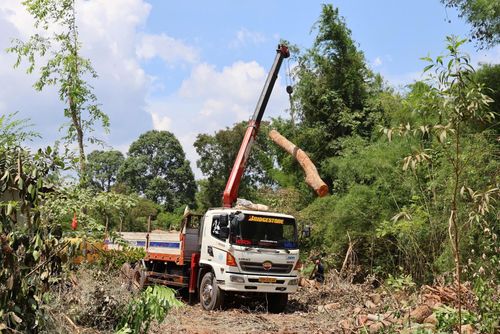 Đồng Nai quan tâm đầu tư đường kết nối.