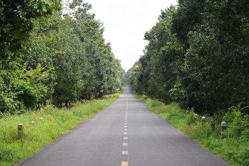Đường xuyên rừng Mã Đà.