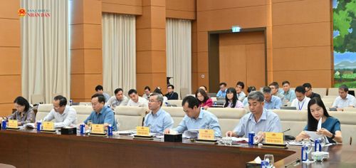 Các đại biểu dự phiên họp
