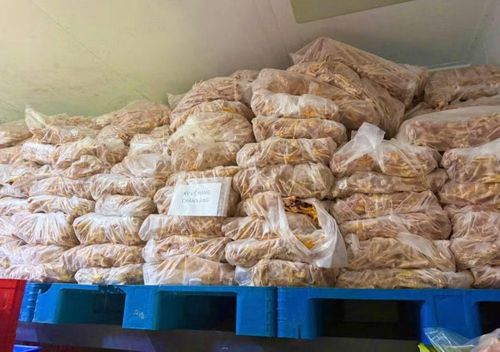 Số chân gà đông lạnh hết "đát" bị buộc tiêu huỷ.