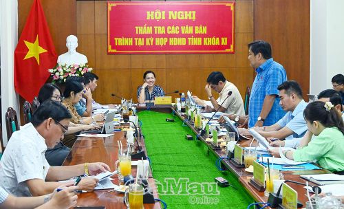  Ông Nguyễn Minh Đương, Phó Trưởng ban Kinh tế - Ngân sách HĐND tỉnh, tham gia đóng góp ý kiến.