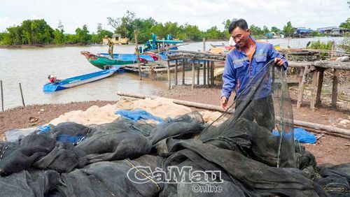 Sau khi được tuyên truyền, ông Dương Văn Chiến (ấp Dinh Củ, xã Tân Ân) quyết định nghỉ nghề đóng cá kèo, đăng cua giống gây hại nguồn lợi, tìm hướng chuyển đổi sang nghề khác.