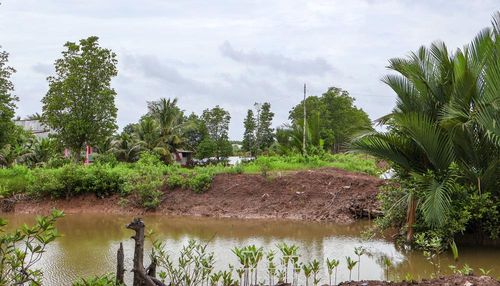Một số đoạn đường dây điện “chia hơi” được người dân kéo tạm, tiềm ẩn nguy cơ mất an toàn, nhất là khi mưa lớn, gió mạnh.